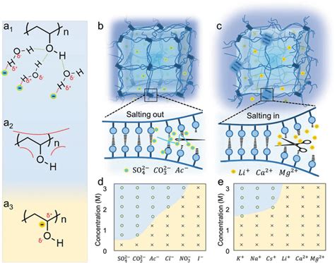 Schematics of the aggregation states of PVA polymer chains treated with ...