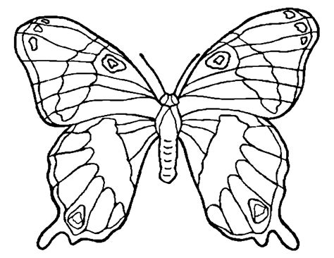 Here is Butterflies For Kids To Color | mackira-thanatos