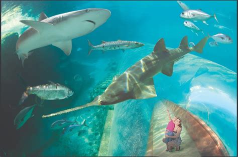 Tips for Visiting Atlantis Bahamas with Kids of All Ages