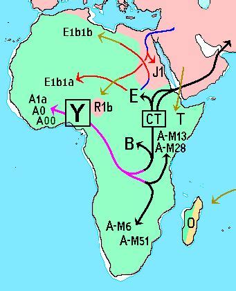 Dispersion of the main African Y-DNA haplogroups | African history, Egyptian ancestry, African ...