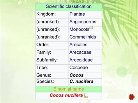 CULTIVATION PRACTICES OF COCONUT