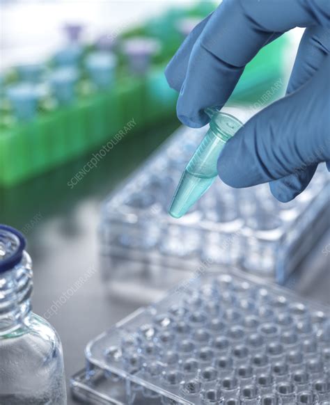 Pharmaceutical research - Stock Image - F036/4558 - Science Photo Library