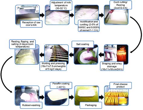 Cheesemaking process of artisanal Poro de Tabasco cheese. NWSC ...