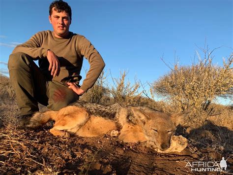 Jackal Hunting South Africa | AfricaHunting.com