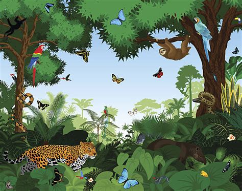 amazon rainforest clipart 20 free Cliparts | Download images on ...