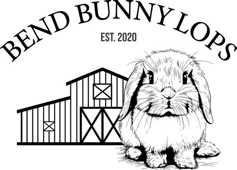 Bend Bunny Lops Holland Lops