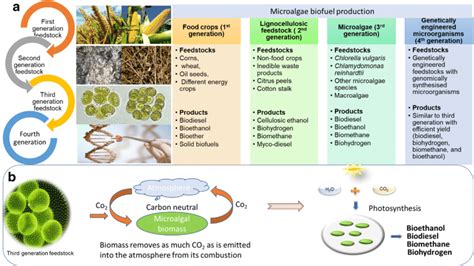 Biofuel production potential of different generations of feedstock... | Download Scientific Diagram