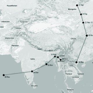 (PDF) Autumn migration of an Amur Falcon Falco amurensis from Mongolia to the Indian Ocean ...