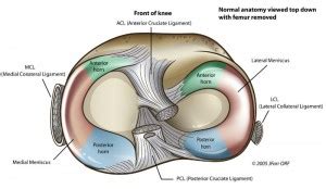 meniscus top - Dr Neil Craton