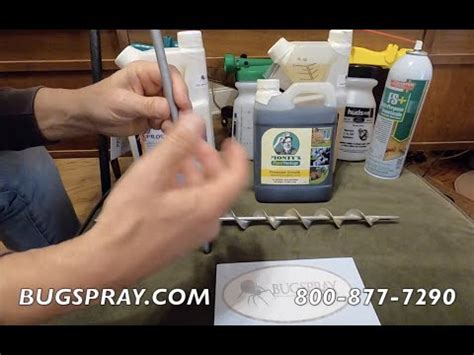 TREE BORER CONTROL USING SPRAYS AND SYSTEMIC BY BUGSPRAY.COM - YouTube