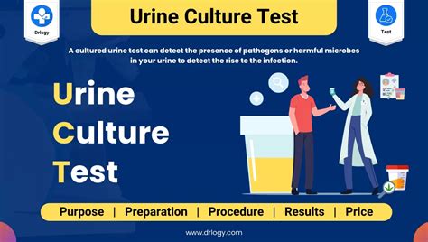 Urine Culture Test: Price, Normal Range & Positive Means - Drlogy