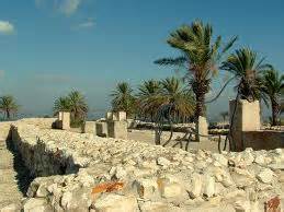 Megiddo National Park