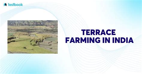 Terrace Farming in India: Know Types, Advantages & Purpose of Use