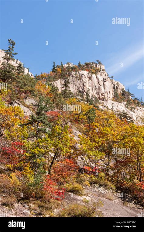 Cheonbuldong Valley cliffs and Fall colors, Seoraksan National Park, South Korea Stock Photo - Alamy