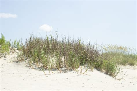 The Must See Sandy Hook Beaches - Janessa and Colin