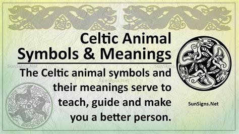 Celtic Animal Symbols: The Mysteries of the Animals - Zodiac Signs 101