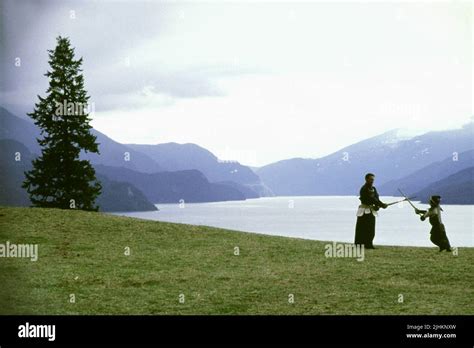 GENERAL SCENE, SNOW FALLING ON CEDARS, 1999 Stock Photo - Alamy