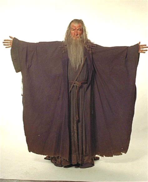 1000+ images about Gandalf costume references on Pinterest | Cloaks, Caves and The five