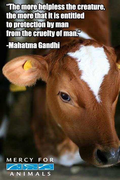 Mahatma Gandhi Quotes Animals. QuotesGram