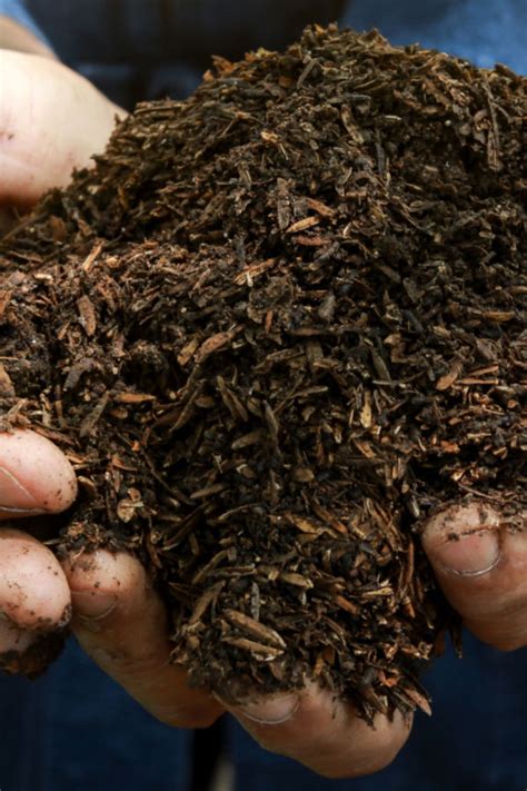 How To Compost Leaves Fast! Turn Leaves Into Amazing Compost