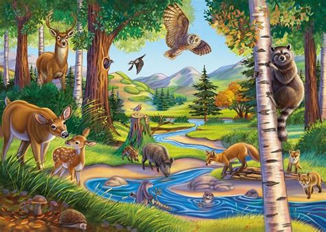 Forest Animals | Anne Wertheim | Forest drawing, Animal illustration, Forest pictures