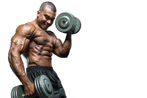 Muscle PNG Image HD | PNG All