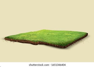 3d Peace Green Land Shadow Stock Illustration 1651346404 | Shutterstock