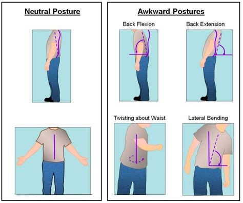 การยศาสตร์และปัจจัยเสี่ยงทางการยศาสตร์ที่ทำให้เกิด Musculoskeletal Disorders