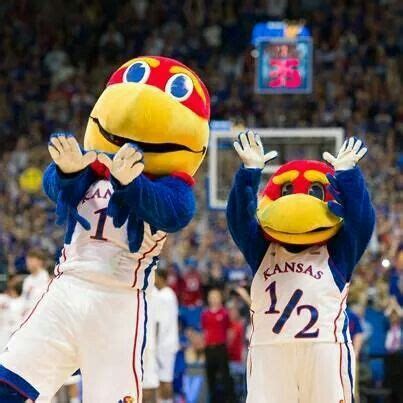 Big Jay and Baby Jay Ku Jayhawks, Kansas Jayhawks, Rock Chalk Jayhawk ...