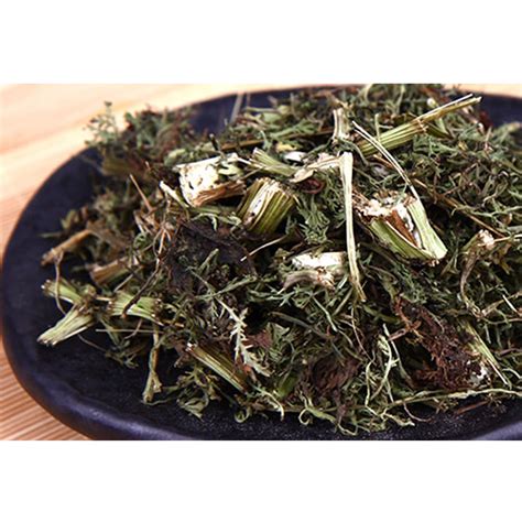 Two Hands Herb Natural Dried Artemisia Annua Sweet Annie Mugwort Tea 300g – Korea E Market