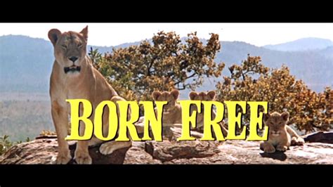 Born Free (1966) - Trailer - YouTube | Born free movie, My childhood ...