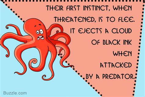 These Octopus Facts Will Surely Ignite the Curiosity of Kids - Animal Sake Science Experiments ...