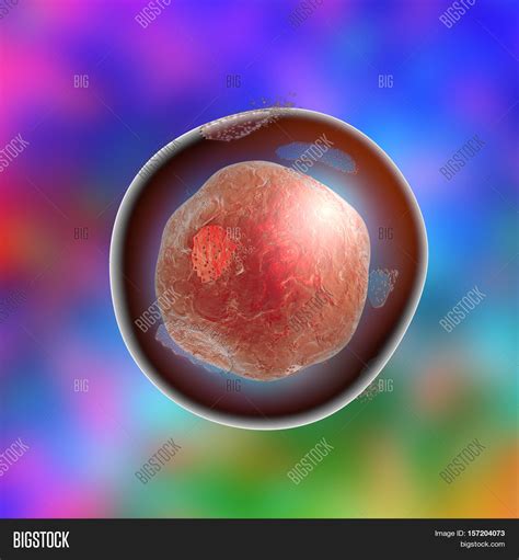 Cell Lysis. Image & Photo (Free Trial) | Bigstock