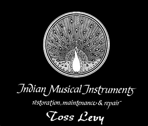 Types of tanpura - Toss Levy