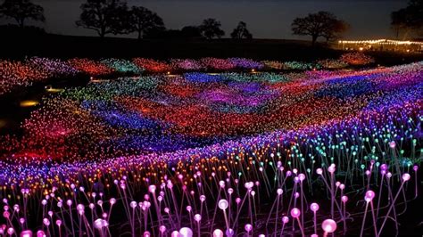 PHOTOS: Bruce Munro's 'Field of Lights' in Paso Robles, California ...