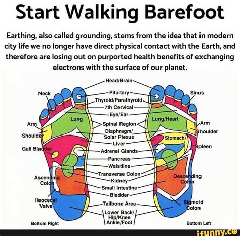 Start Walking Barefoot Earthing, also called grounding, stems from the ...