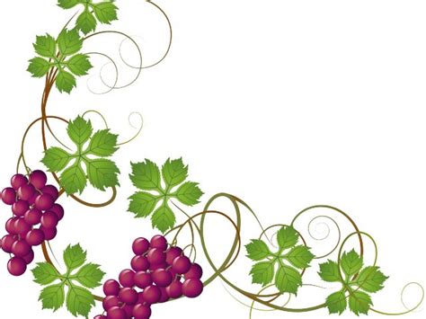 Grapes Vine Clipart