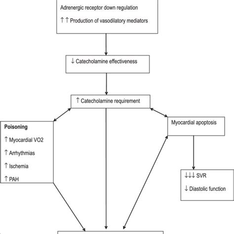 Effect of afterload reduction. Afterload reduction is of greater ...