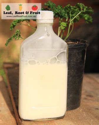 Organic White Oil Recipe - Knox Community Gardens Society Inc.