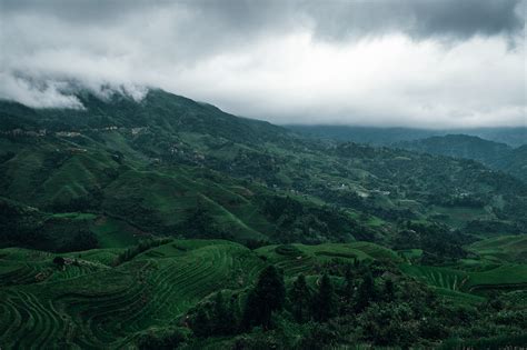 The Longsheng Rice Terraces on Behance