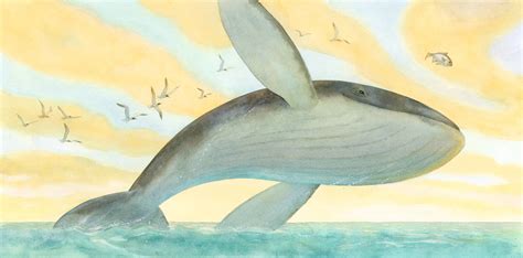 illustrations for the book "Small Whale" on Behance