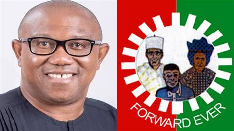 Labour Party warns Peter Obi's supporters, Obidients, against violence - Peoples Gazette Nigeria