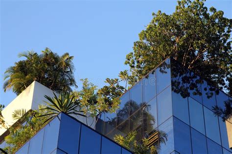 Roof Garden stock image. Image of palm, tropical, trees - 26944671