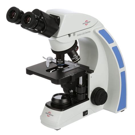 Parts Of A Microscope Labeled