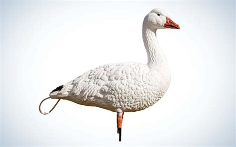 Best Snow Goose Decoys of 2023 | Outdoor Life