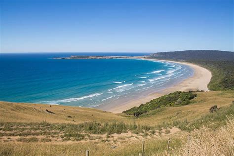 25 Best Beaches in New Zealand - An Insider's Guide!