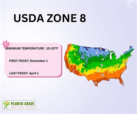 What To Plant In Zone 8: [Plant Calendar Guide]