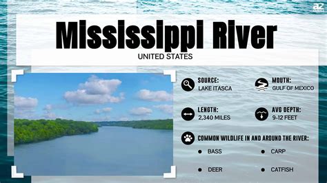 Mississippi River Pollution Facts