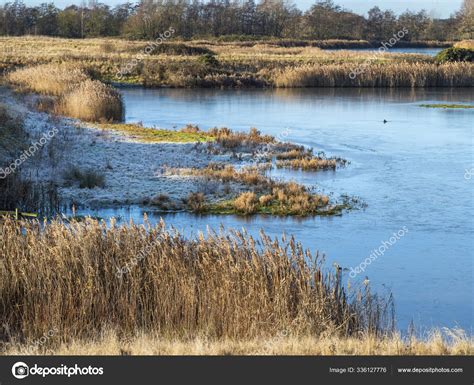 North Cave Wetlands, East Yorkshire, England, in winter ⬇ Stock Photo, Image by © AngieC333 ...