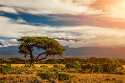 Kilimanjaro: the Highest Mountain in Africa